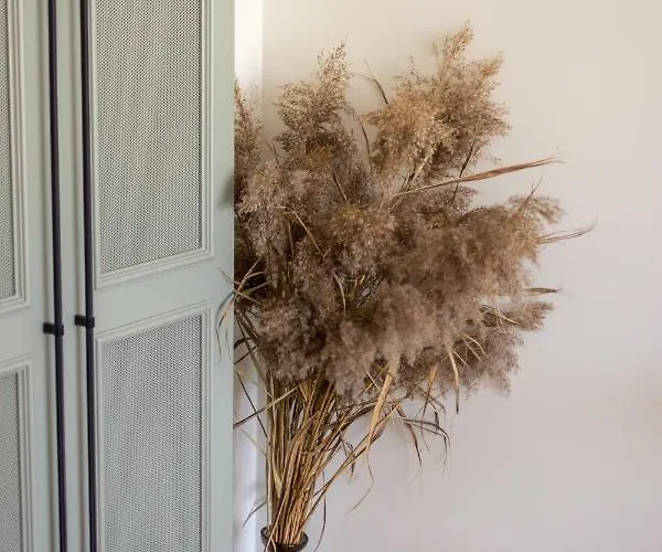 Appartement 3 Kambariu Seimos Apartamentai Su Terasa Kunigiskiu Gatveje